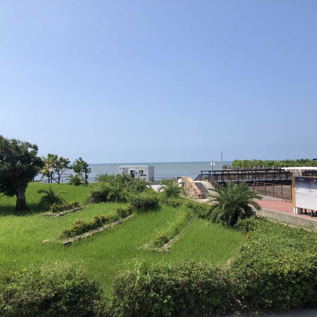 高美野生濕地保護區