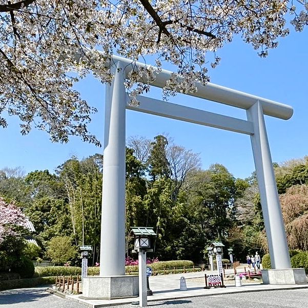 【千葉県/櫻木神社】千葉の桜づくしの神社