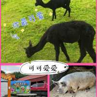 英國農場