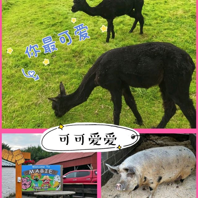 英國農場