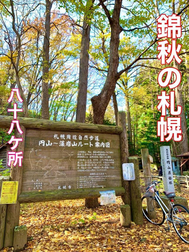 北海道　北海道観光　札幌の旅　札幌中心地で登山　円山八十八カ所の紅葉が見頃！