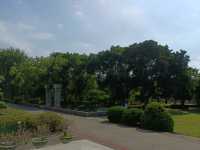 『亞洲大學』
