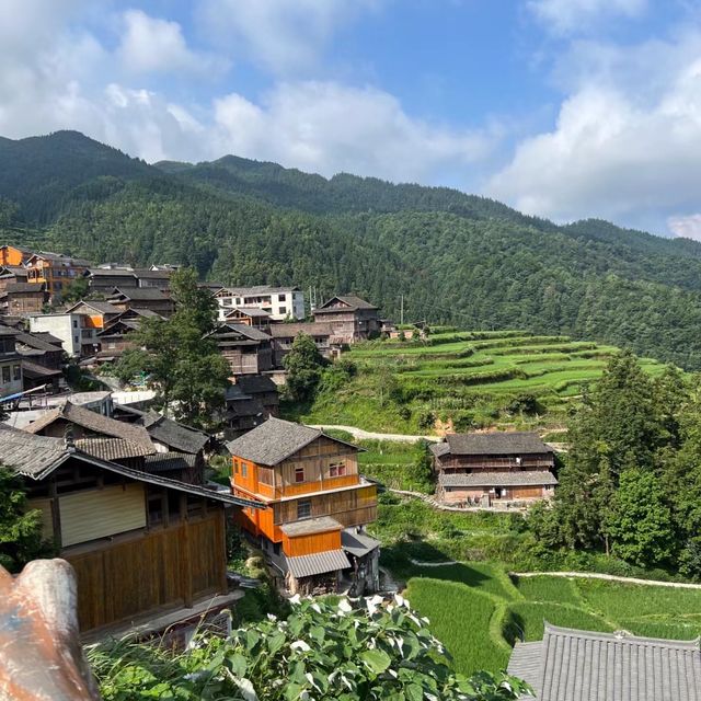 🌾🌄 洋嶺梯田～稻穗風光🏔️🌾🥾