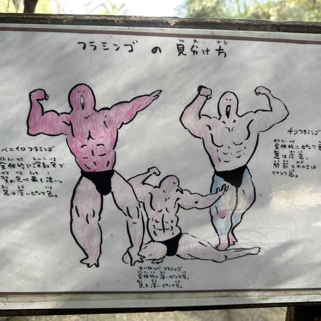 動物さんと触れ合いまくり★長崎バイオパーク
