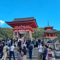 The Beautiful Kiyomizu Dera Temple 