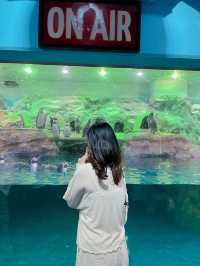 추위걱정 없는 실내 데이트는 아쿠아리움🩵🐠
