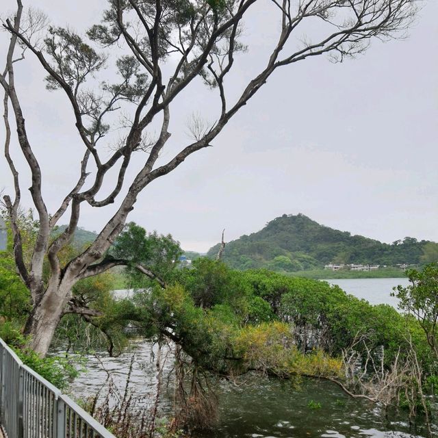 遙望深圳的鹿頸天后宮