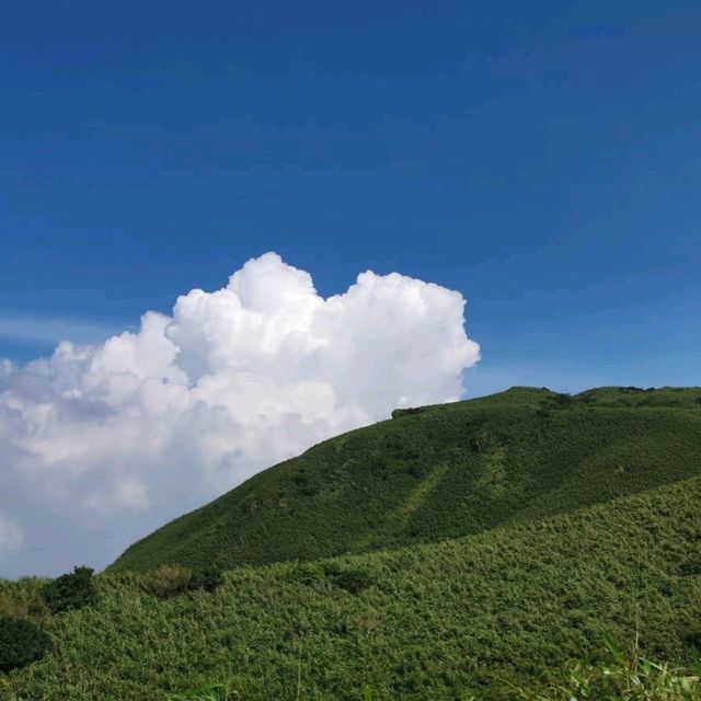 清新陽明山夢幻湖