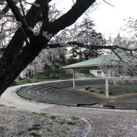 【小丸山城趾公園】