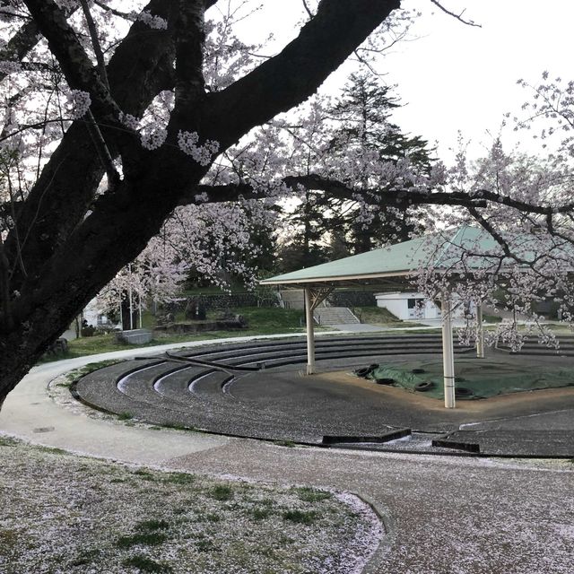 【小丸山城趾公園】