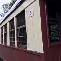 【ケアンズ おすすめ】キュランダ 高原鉄道
