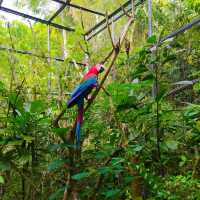 Cebu Safari and Adventure Park🏞️