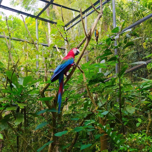 Cebu Safari and Adventure Park🏞️