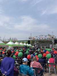 부산에서 즐기는 이색축제