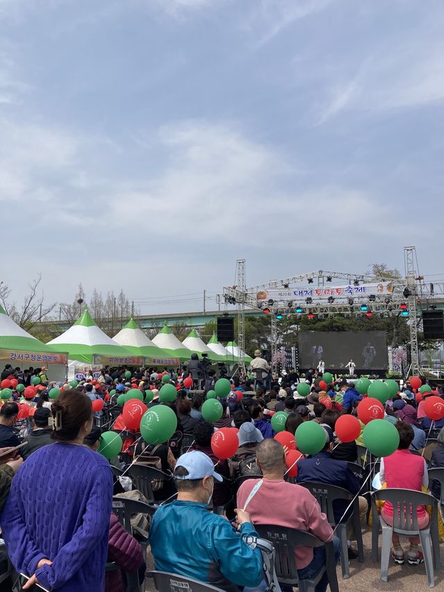 부산에서 즐기는 이색축제