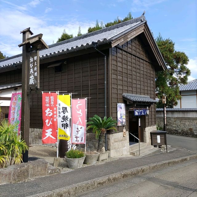 宮崎県！飫肥城跡と下町散策～ランチはチキン南蛮～