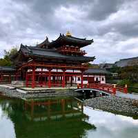宇治抹茶一條街
