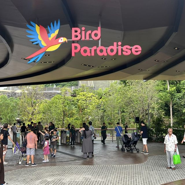 Bird Paradise @ SG