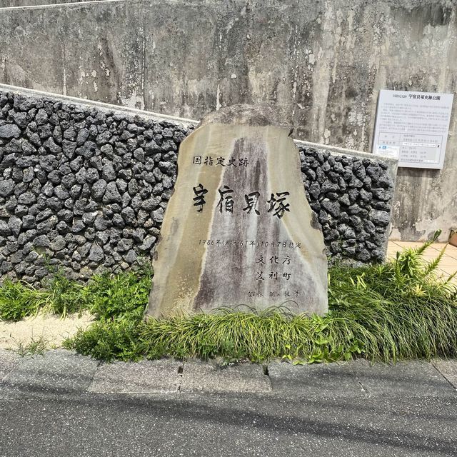 奄美大島「宇宿貝塚史跡公園」で歴史を感じる旅