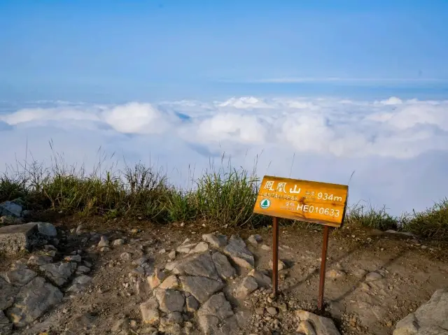 Lantau Peak - the highest place you can hike to in Hong Kong.