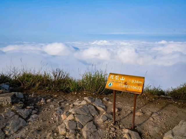 Lantau Peak - the highest place you can hike to in Hong Kong.
