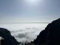 葡萄牙外島-Madeira上山下海之旅