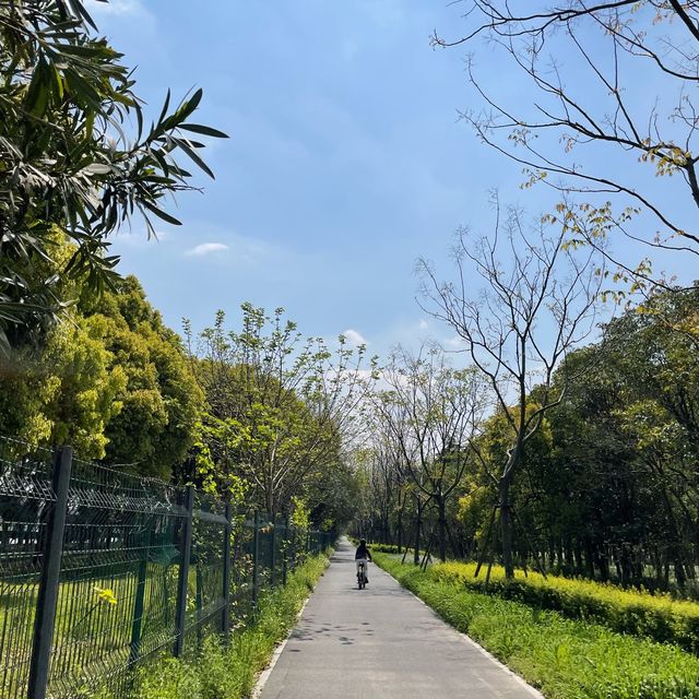 홍치아오 주변 자전거 공원