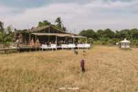 ยุ้งฉาง คาเฟ่ - yoong chang cafe 