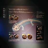 海の生き物ってどうやって眠るの？　夜の京都水族館