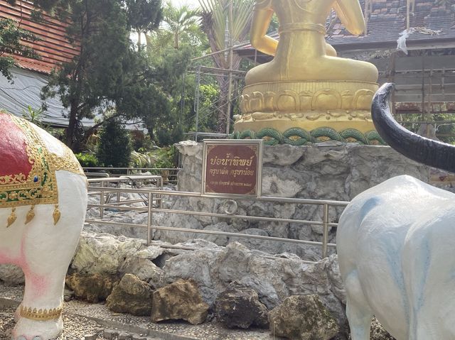 ทริปสายบุญ ‘วัดศรีดอนมูล’ เชียงใหม่