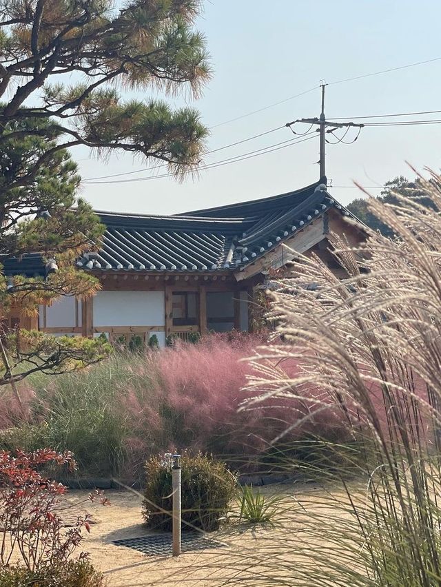화성에서 남은 가을 즐기러 다녀오기🍂💖 