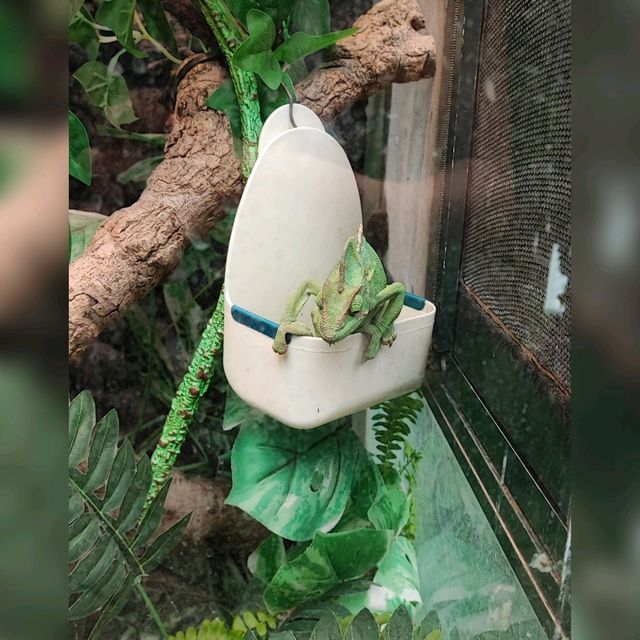 台灣新竹親子同遊好地方😍