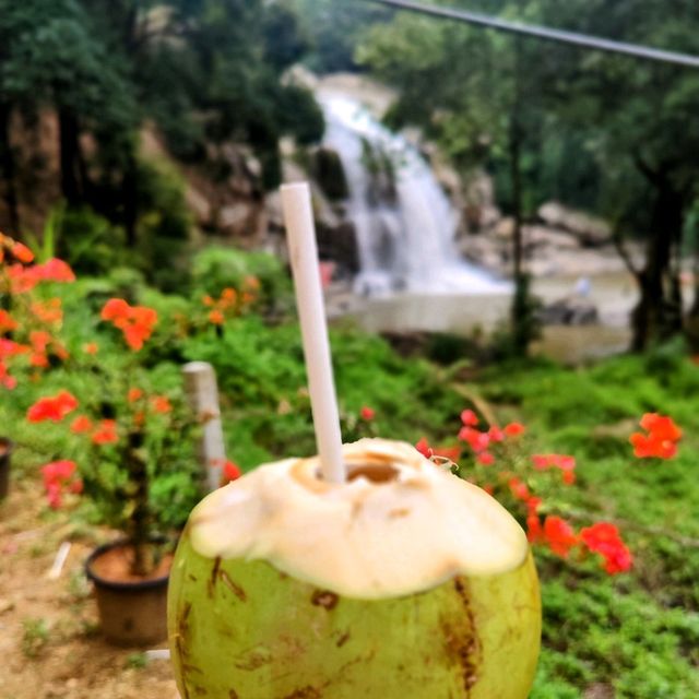 Beautiful Waterfalls in Munnar 🏞️ 