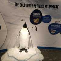 Happy Feet