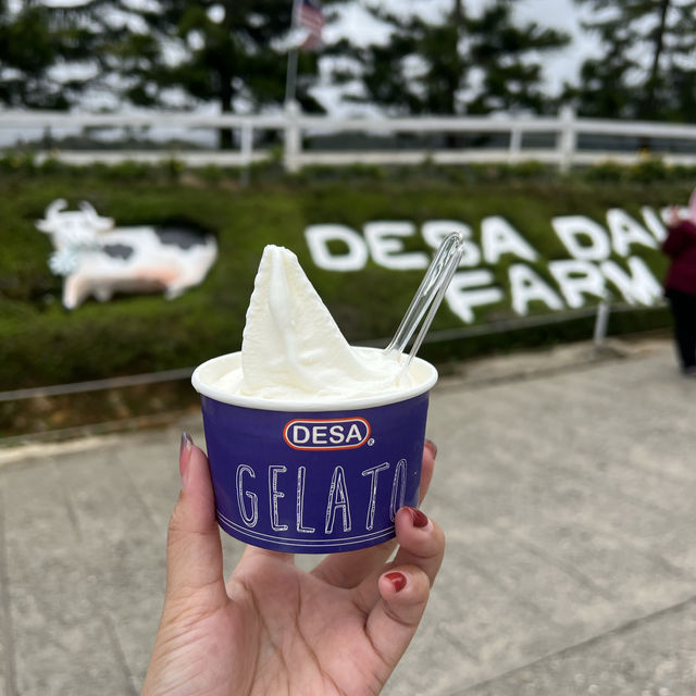 Get New Zealand view in Malaysia 🇲🇾
