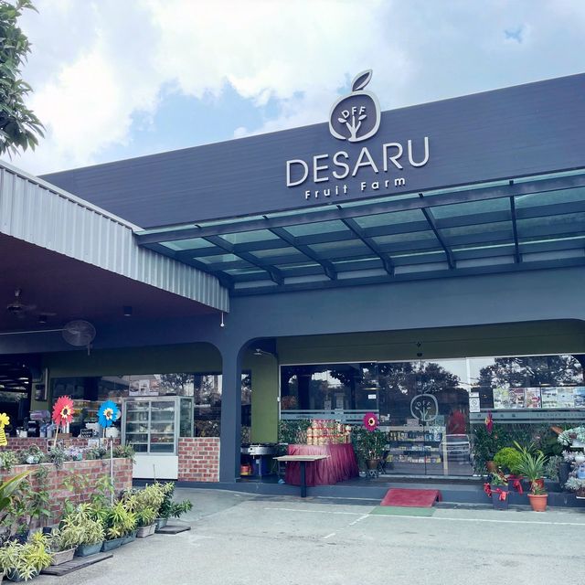Exploring biggest Fruit Farm in Desaru Johor
