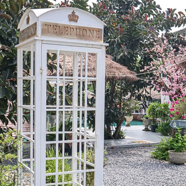 The Wild swans Café and Lake - คาเฟ่สวยนครปฐม