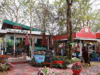 มอนทาน่า ฟาร์ม(Montana farm) 🌲🌲🌲