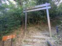 【香港行山】獅子山：俯瞰九龍半島🇭🇰 同處海角天邊⛰️