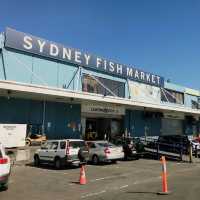 Sydney's Seafood Paradise