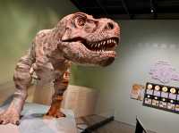 香港科學館古生物展廳「滅絕．新生」展覽展出珍貴動植物化石