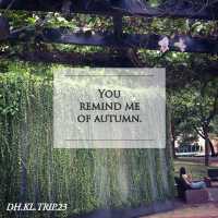 KLCC Park, You're Tree-Mendous 