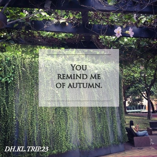 KLCC Park, You're Tree-Mendous 