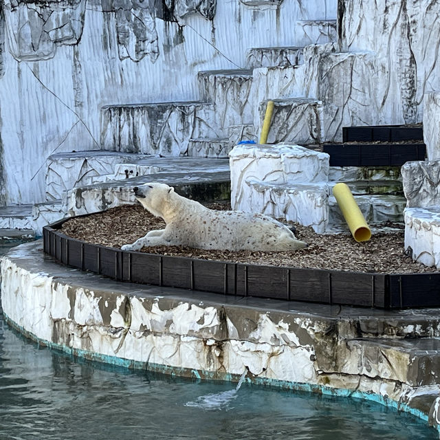 名古屋親子連れスポット‼︎見応え抜群の動植物園⭐︎
