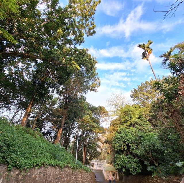 佔地廣，風景佳-竹崎親水公園
