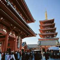 【淺草寺雷門】早到有着數～特色活動推薦