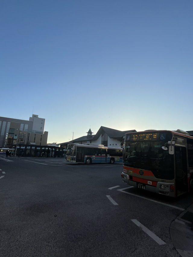 【神奈川県】鎌倉観光では外せない小町通り