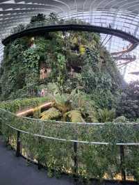 Avatar themed Cloud Forest in Singapore