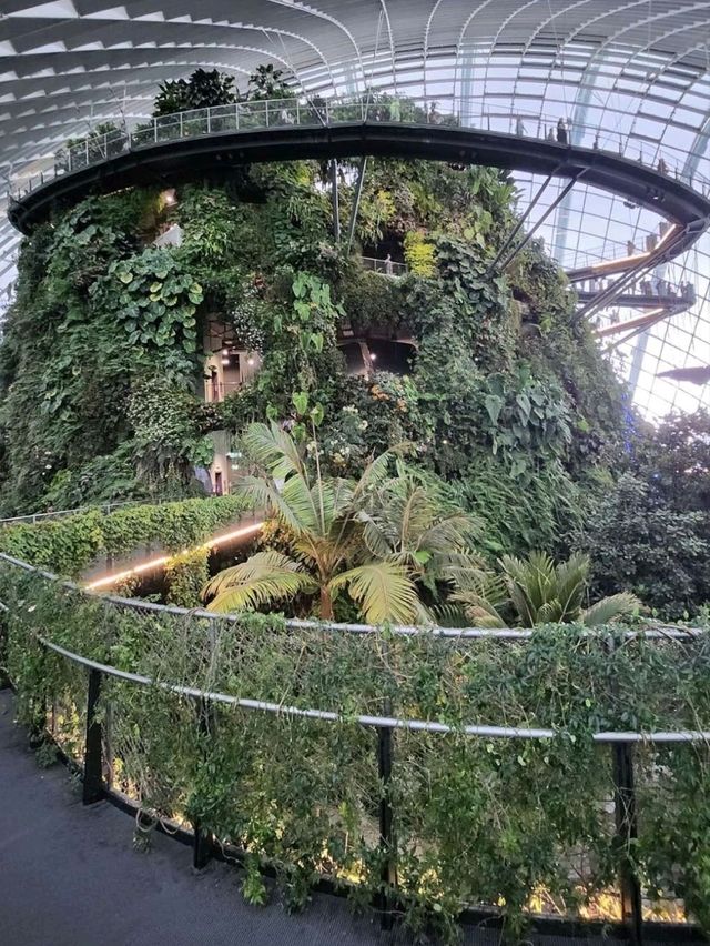 Avatar themed Cloud Forest in Singapore