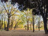 Yoyogi Park